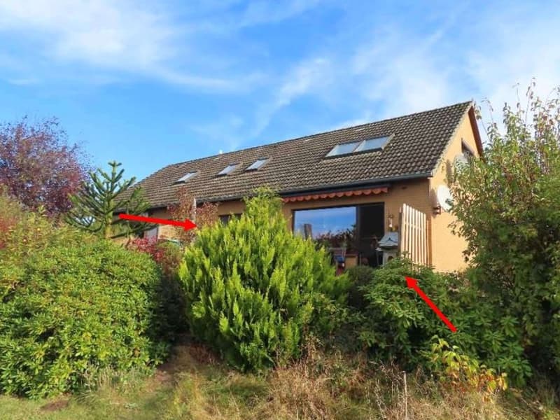 Wohnung in Bienenbüttel - Wichmannsburg